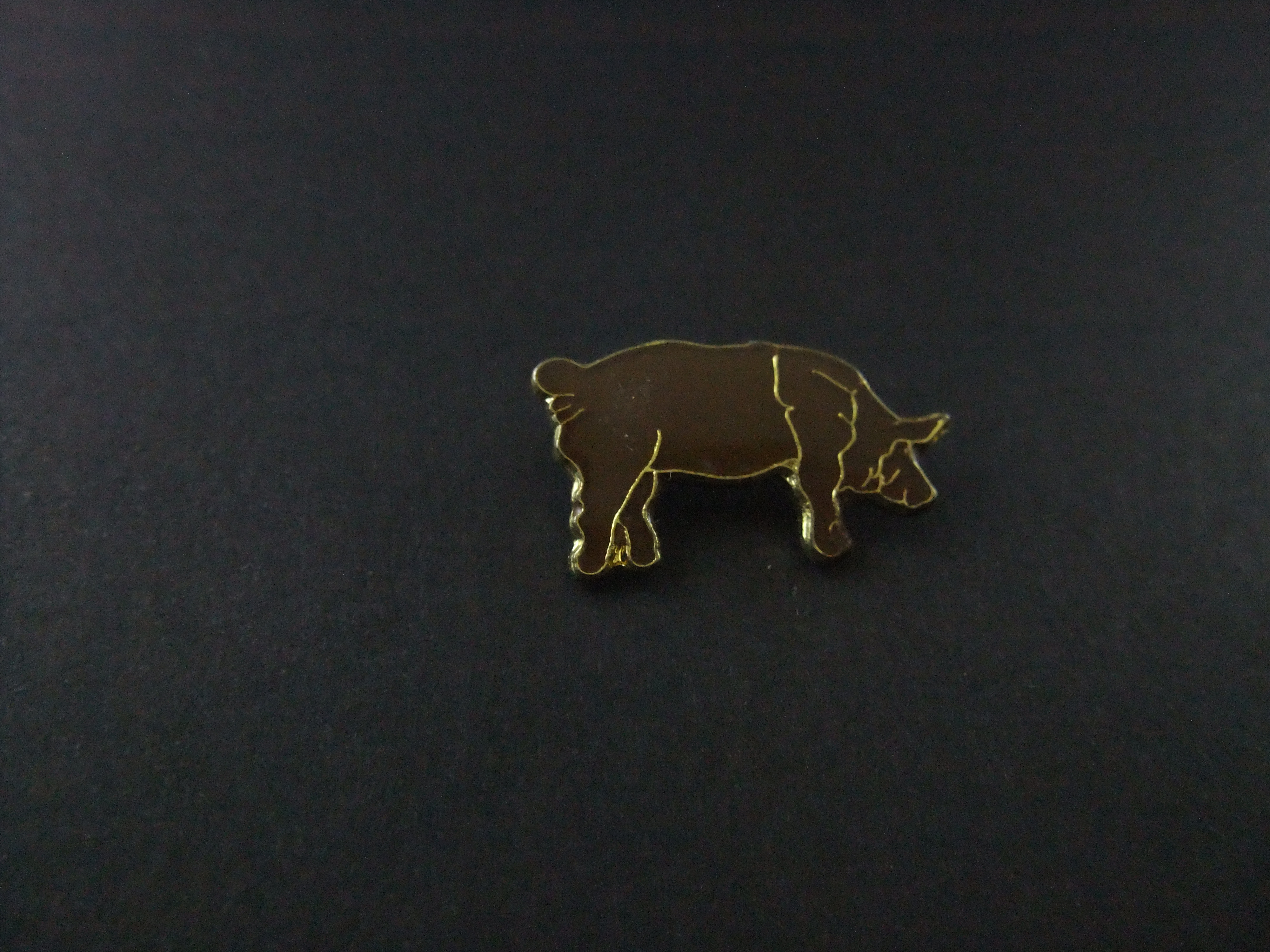 Varken ( bruin) zoogdier